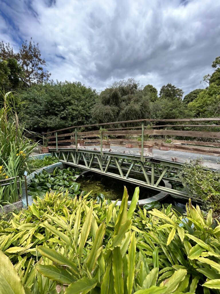 Orto Botanico, Sardinia, Italy