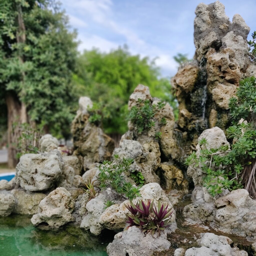 Danang nature corals