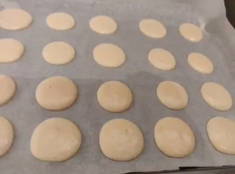 macaron shells in the making (liquid)