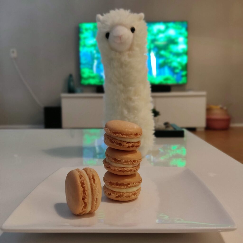 pink macarons presented on a plate
