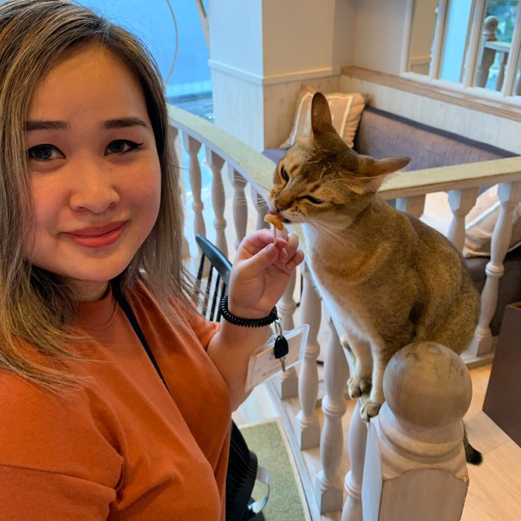 Cat