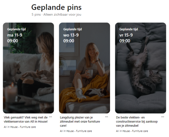 Pinterest pins organic